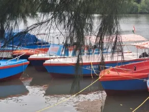 Survey Boats